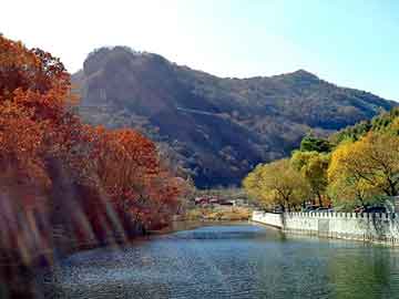 新澳天天开好彩大全，水洗高岭土价格